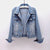 Hoodwinked Denim Jacket